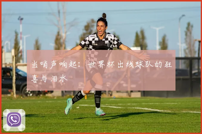 当哨声响起：世界杯出线球队的狂喜与泪水